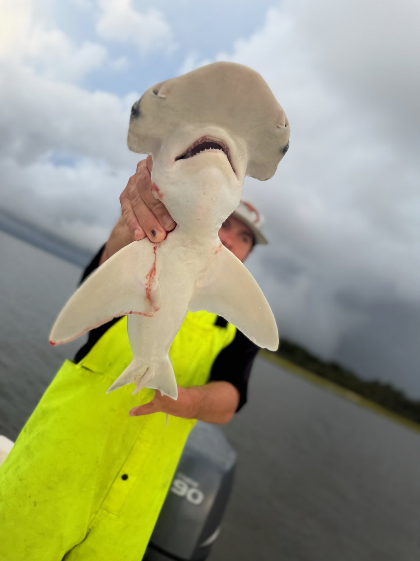 Shark caught on the Georgia coast